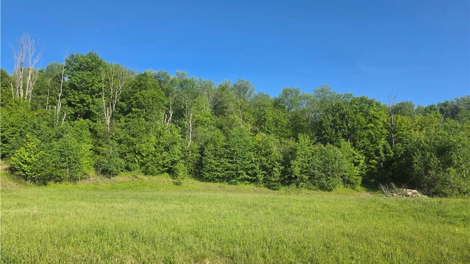 Property at Lots 15A, 14, 13 , 12 , 9 CHELSEA LANE Avenue, Bradford City, PA 16701 6
