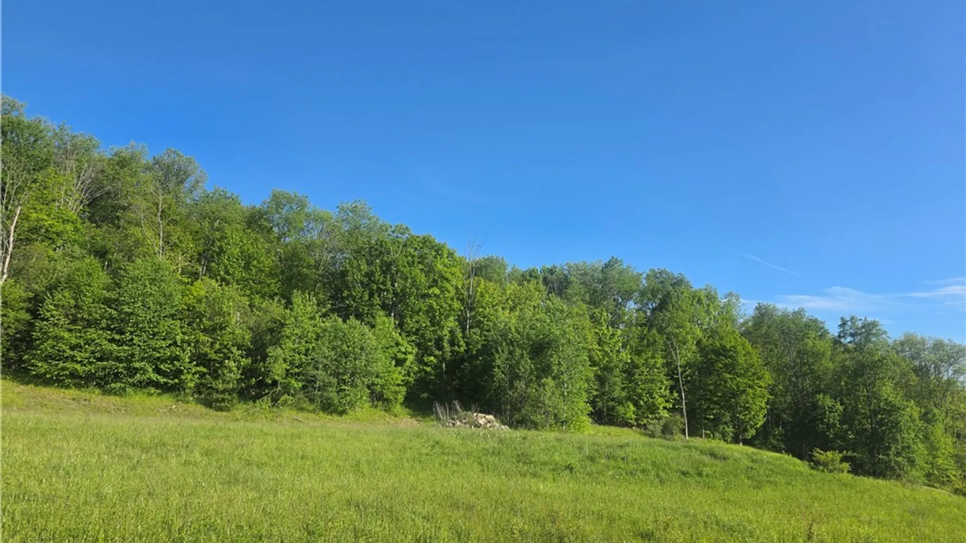 Property at Lots 15A, 14, 13 , 12 , 9 CHELSEA LANE Avenue, Bradford City, PA 16701 7