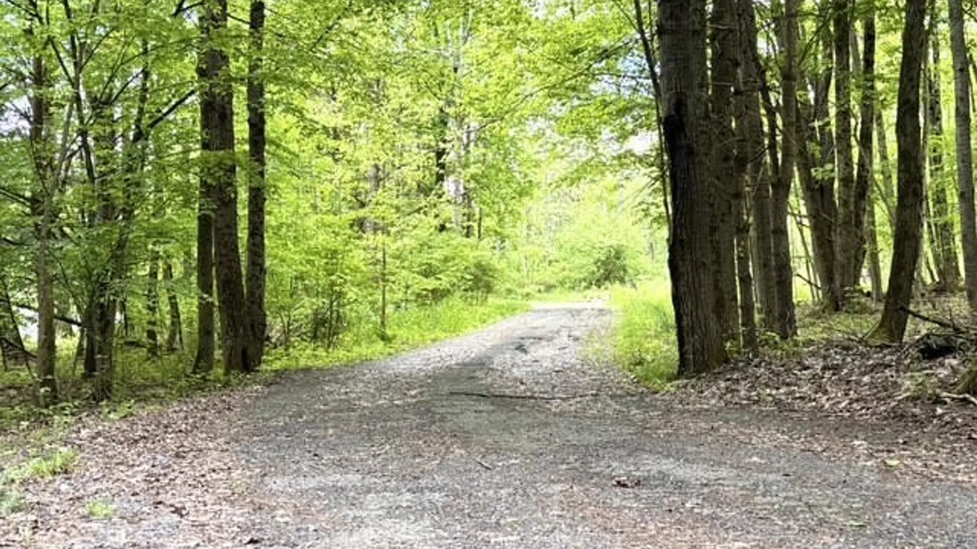 Property at 607 Kilkenny Road, Unadilla, NY 13849 3
