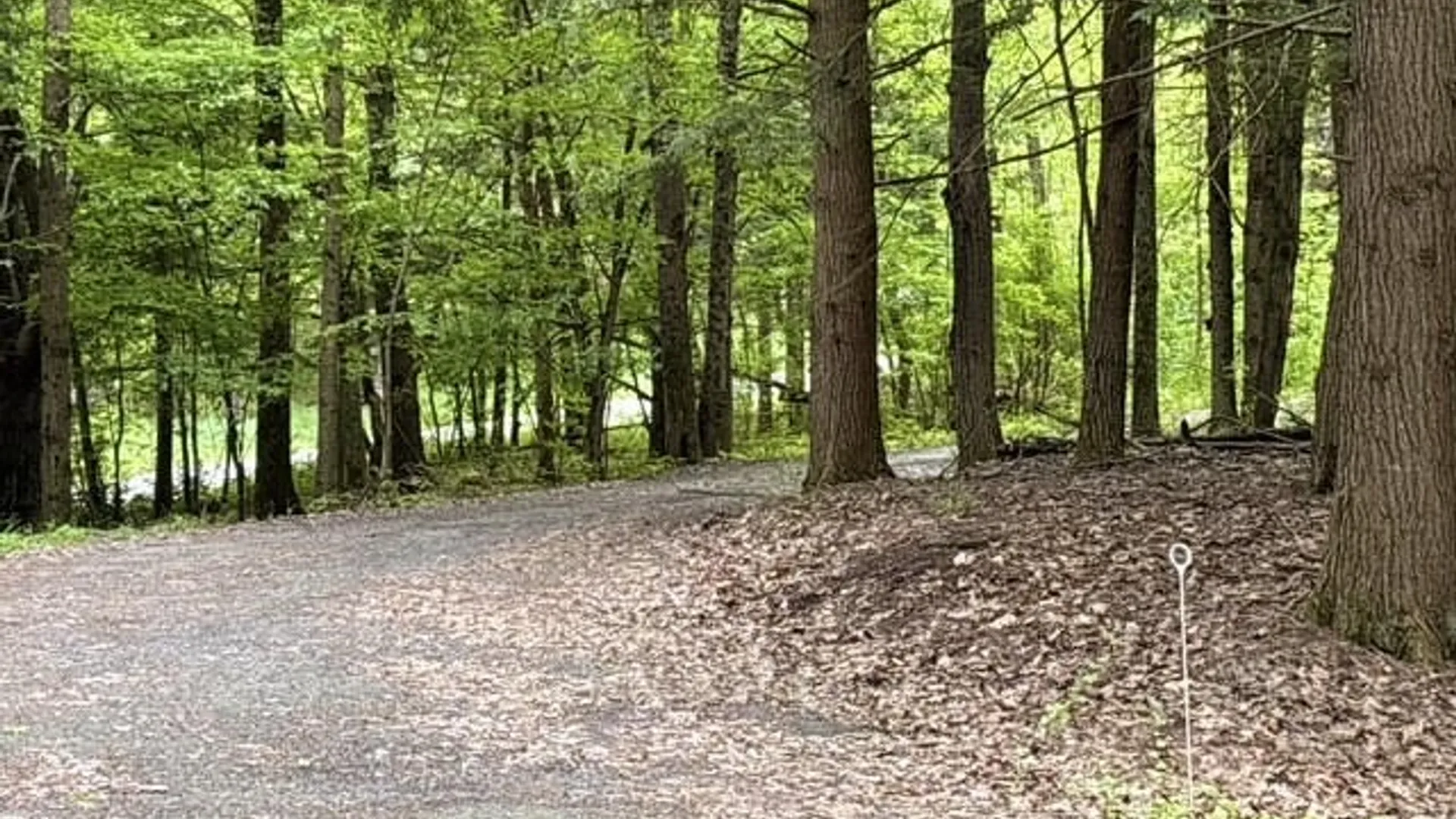 Property at 607 Kilkenny Road, Unadilla, NY 13849 4