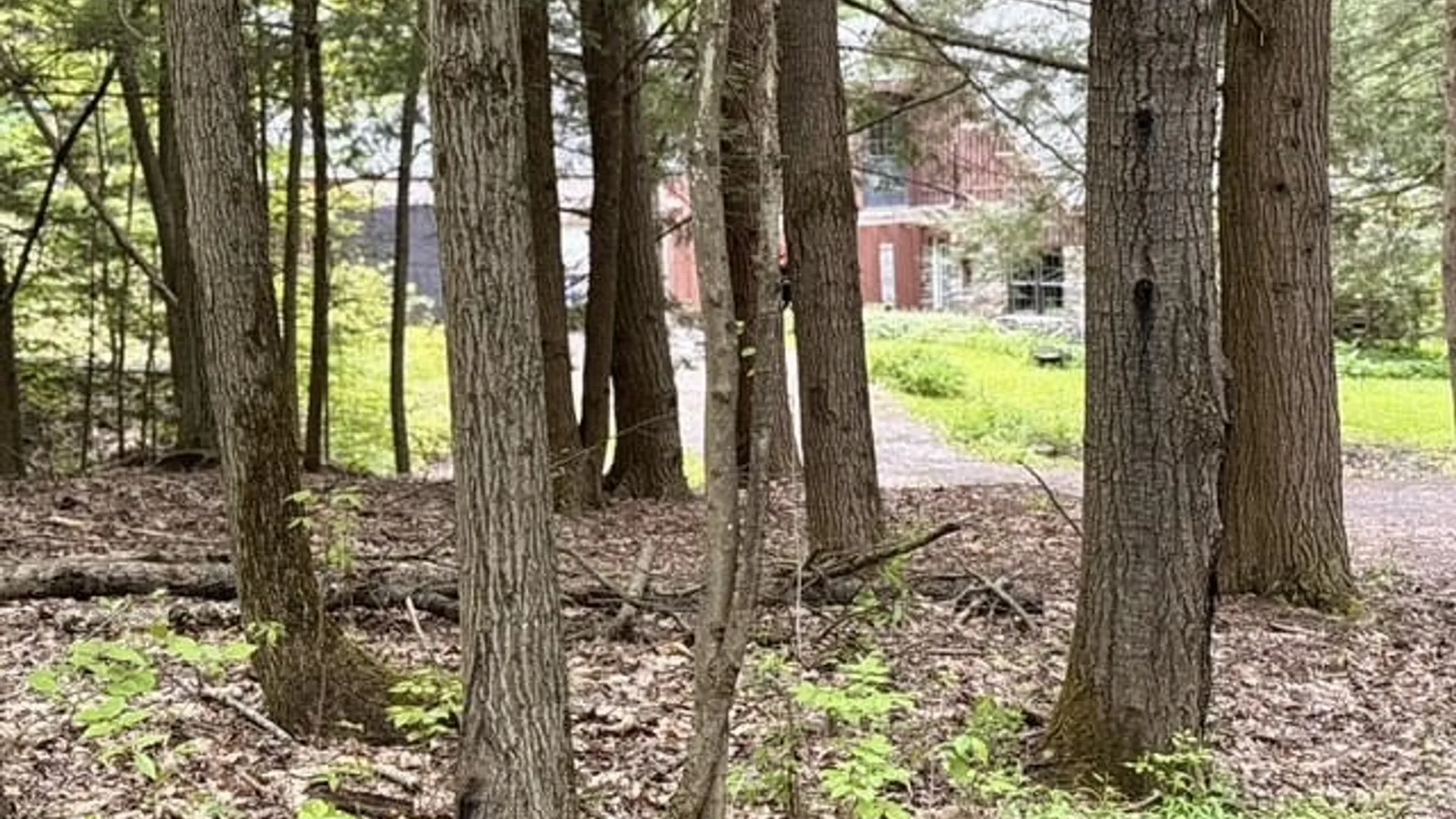 Property at 607 Kilkenny Road, Unadilla, NY 13849 48