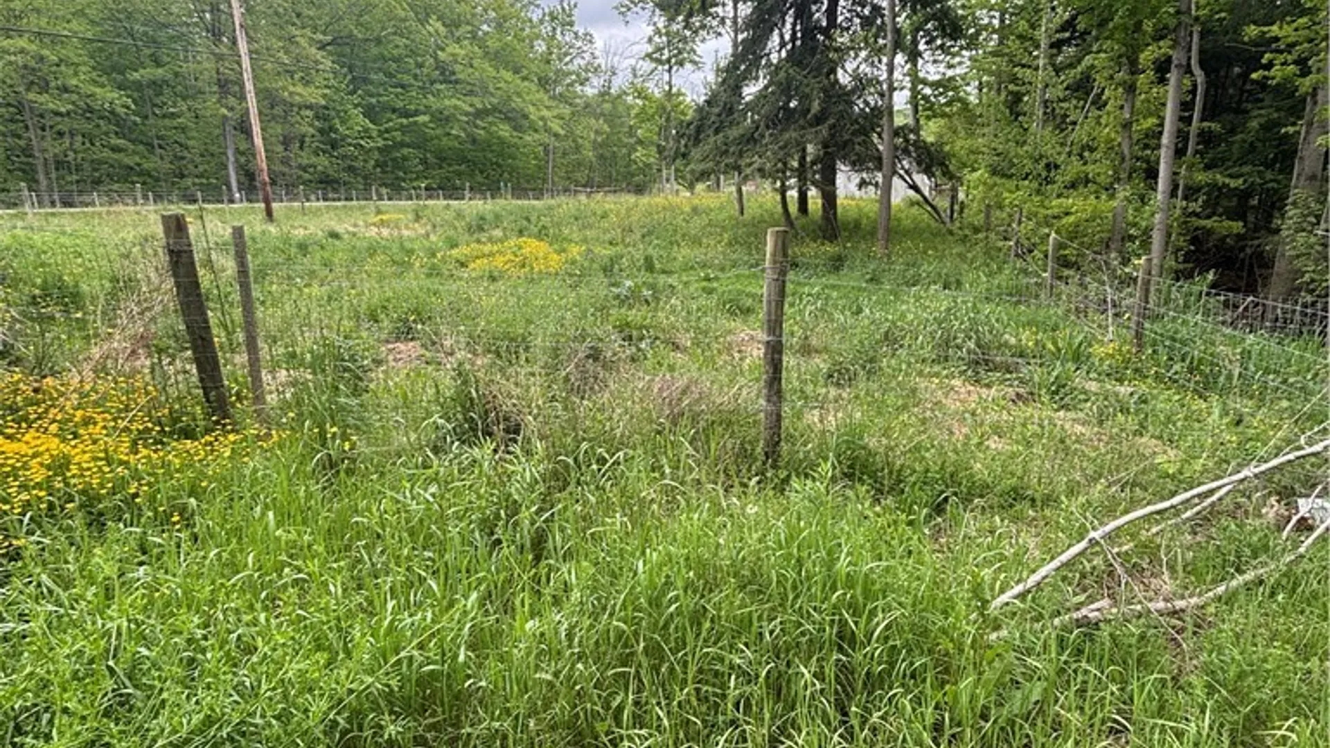 Property at 7080 Route 305, Belfast, NY 14711 14