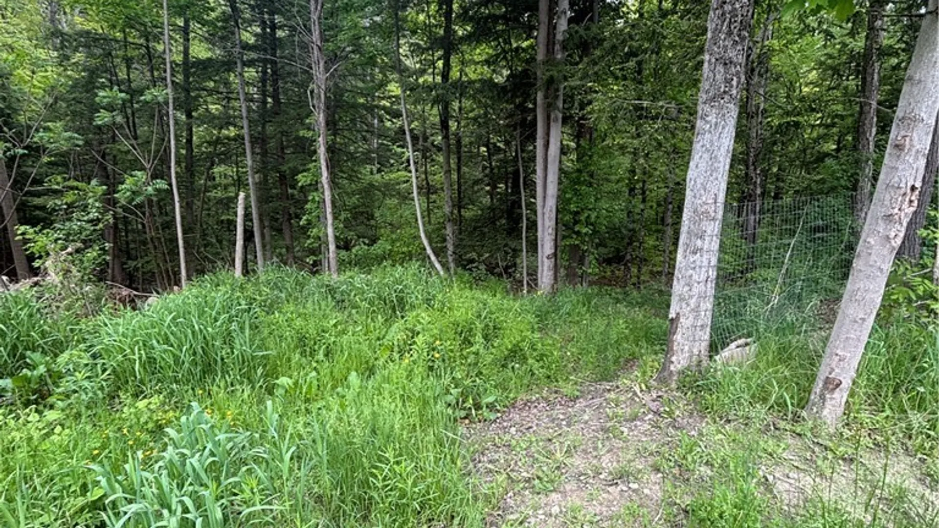 Property at 7080 Route 305, Belfast, NY 14711 27
