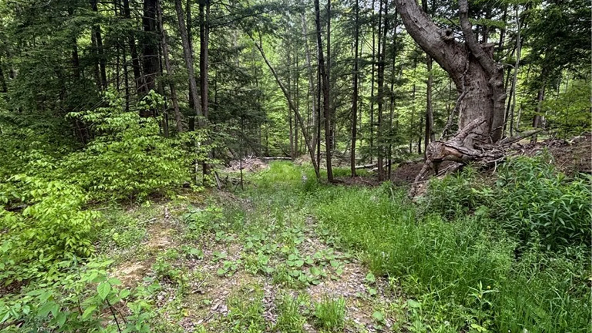 Property at 7080 Route 305, Belfast, NY 14711 28