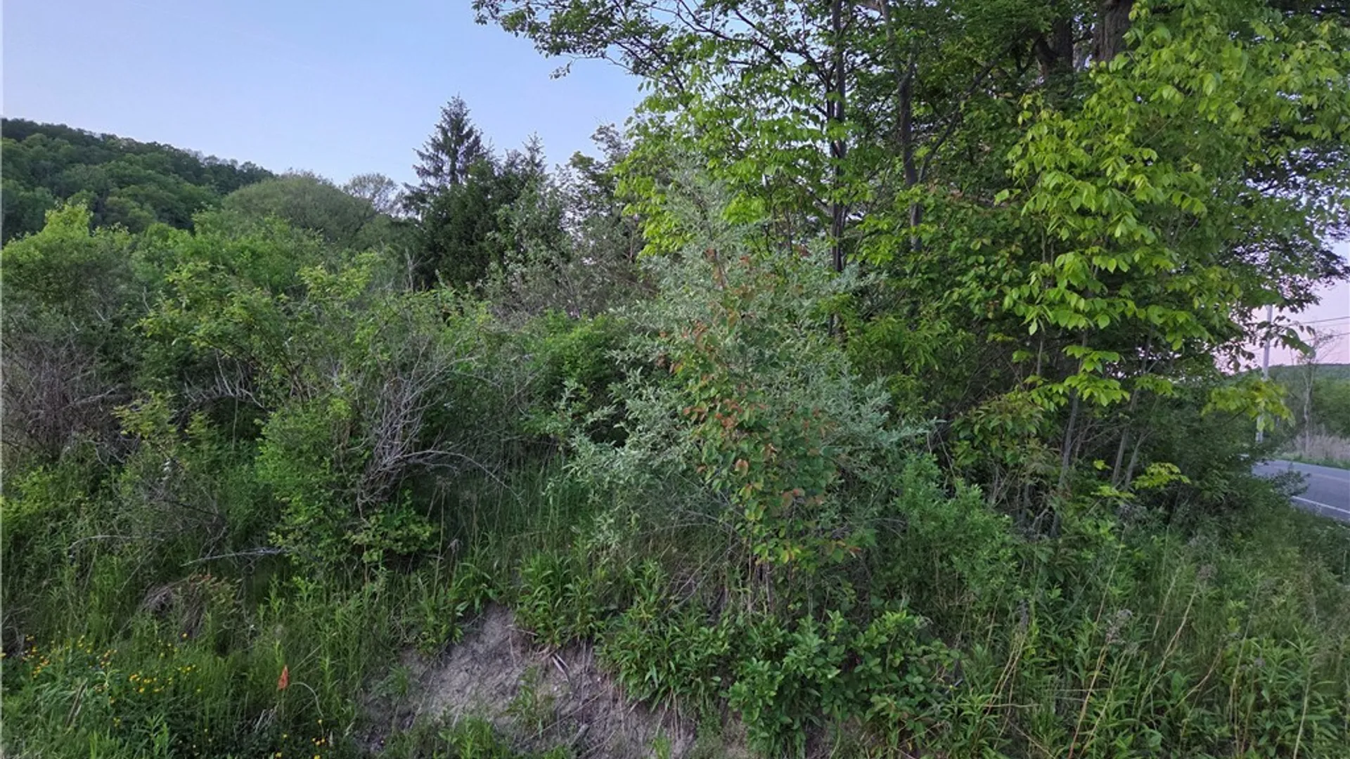 Property at Horn Hill Road, Ellicottville, NY 14731 3