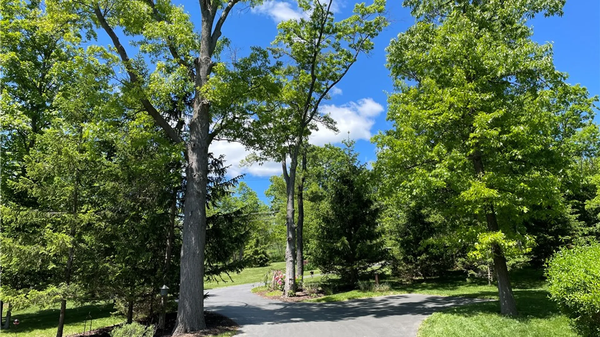 Property at 5491 Seneca Point Rd, South Bristol, NY 14424 48