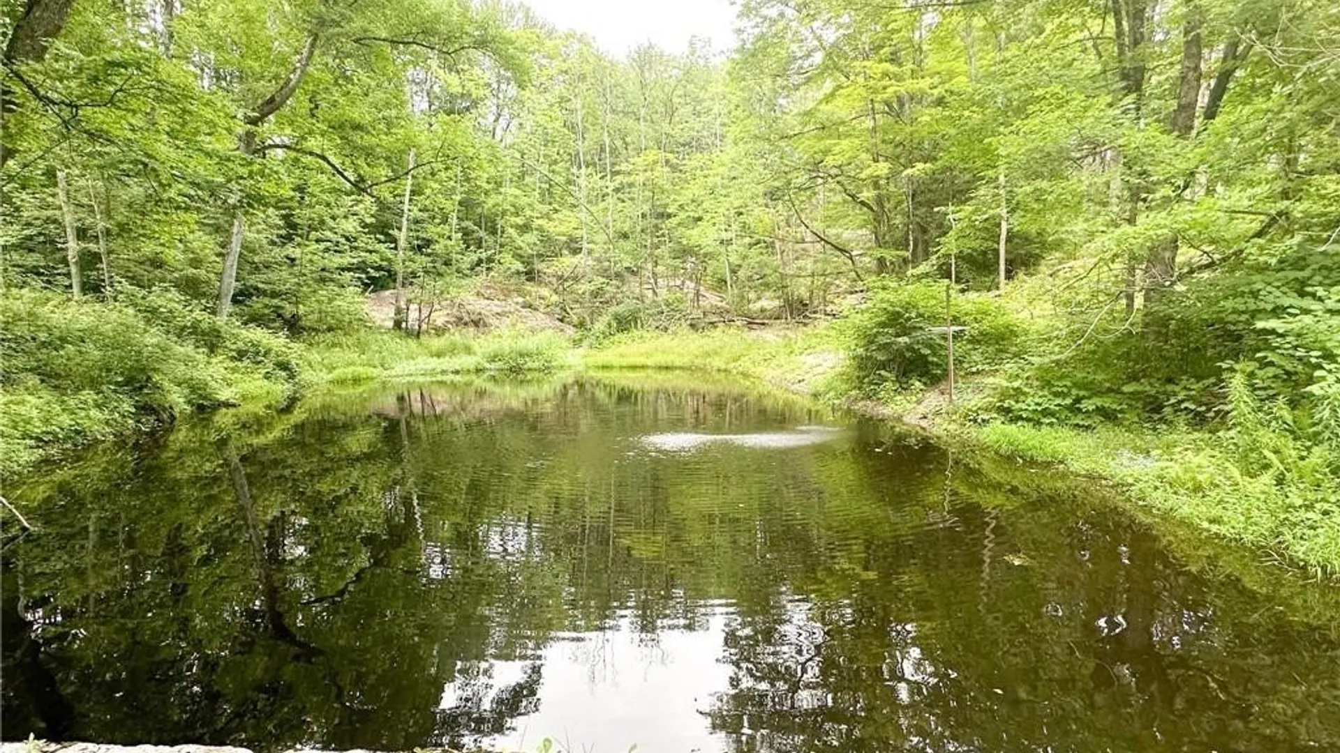 Property at 185 Dairy Hill Road, Salisbury, NY 13365 40