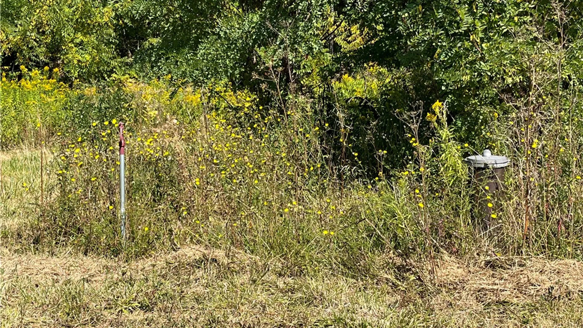 Property at 8850 Route 414, Lodi, NY 14860 14