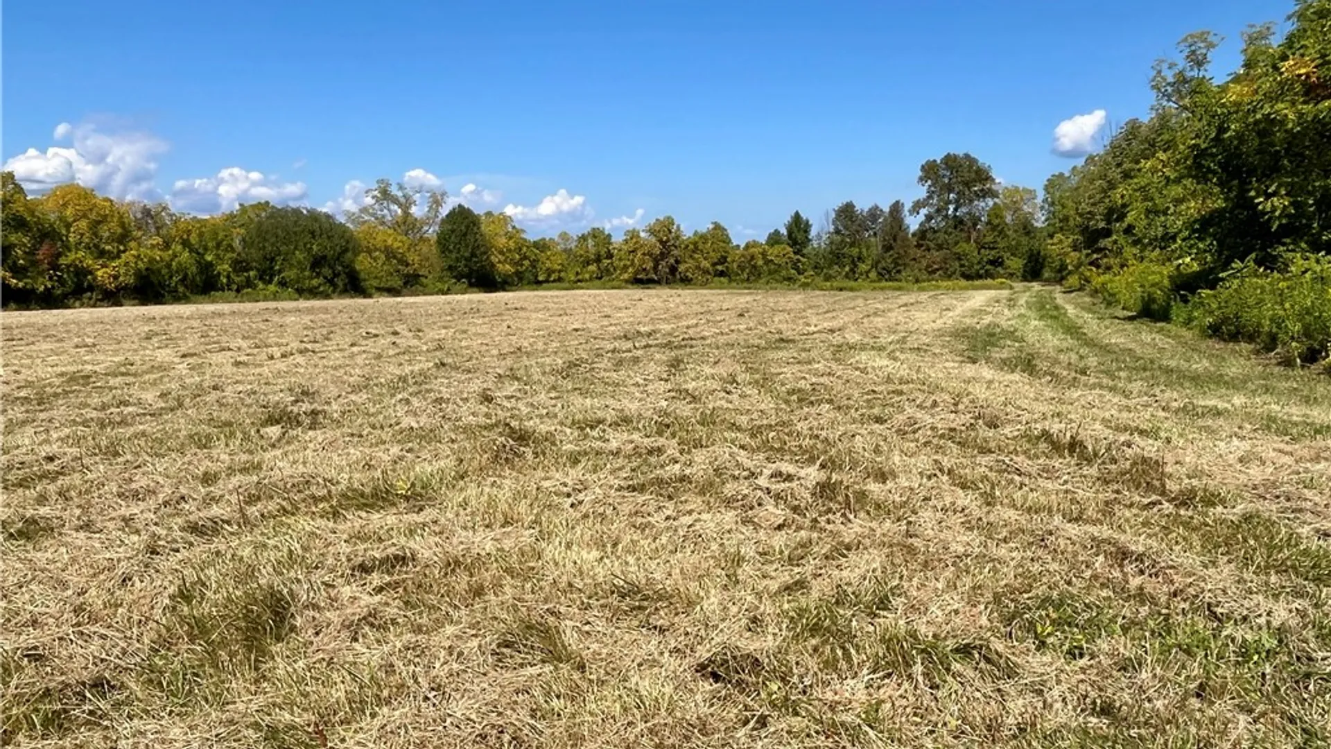 Property at 8850 Route 414, Lodi, NY 14860 19