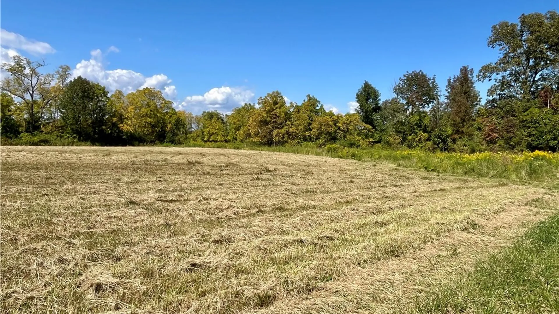 Property at 8850 Route 414, Lodi, NY 14860 20