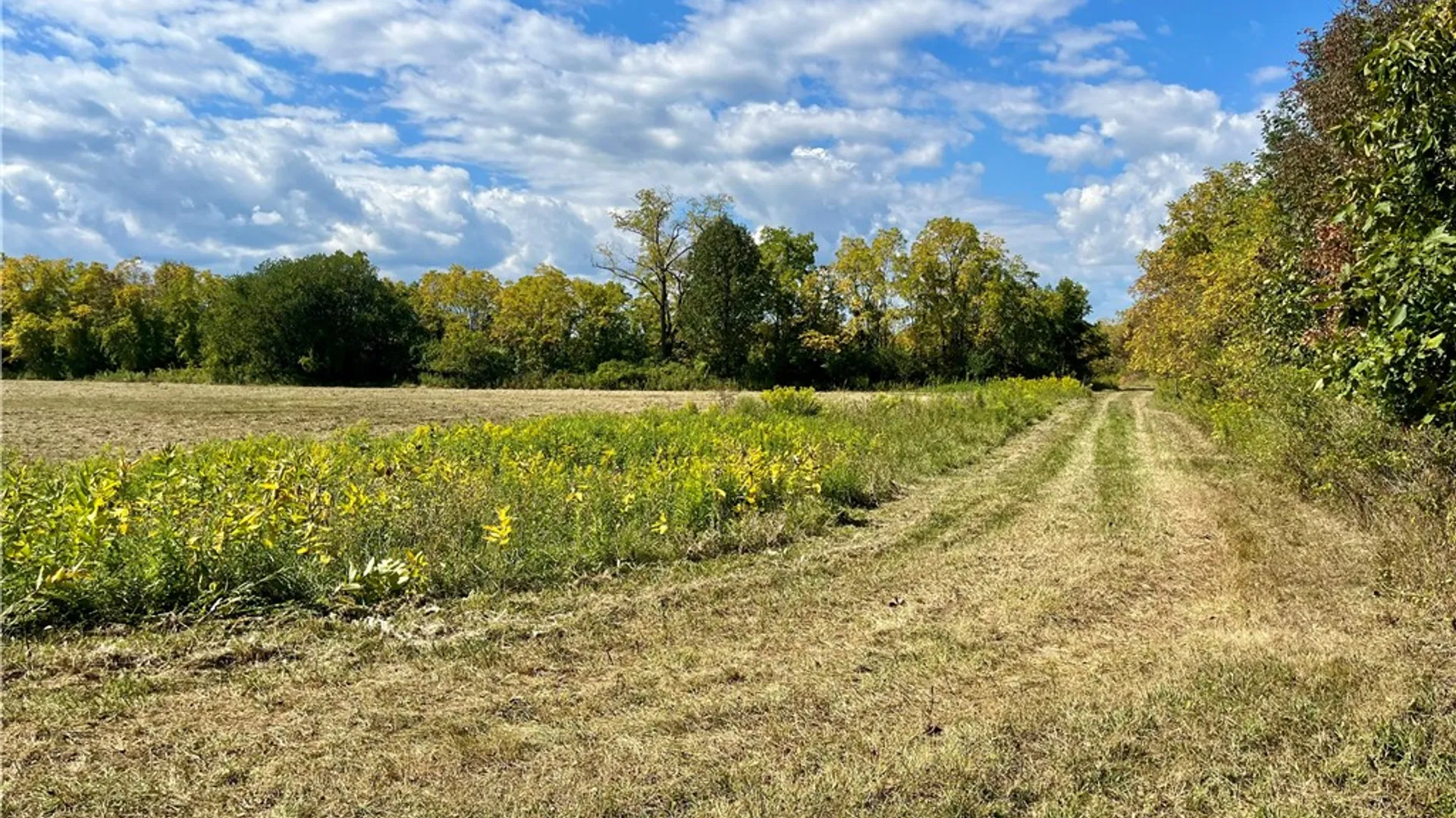 Property at 8850 Route 414, Lodi, NY 14860 21