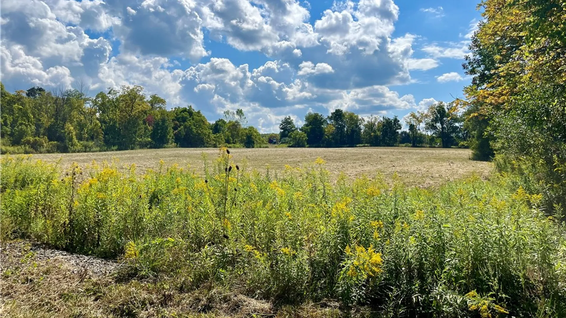Property at 8850 Route 414, Lodi, NY 14860 8