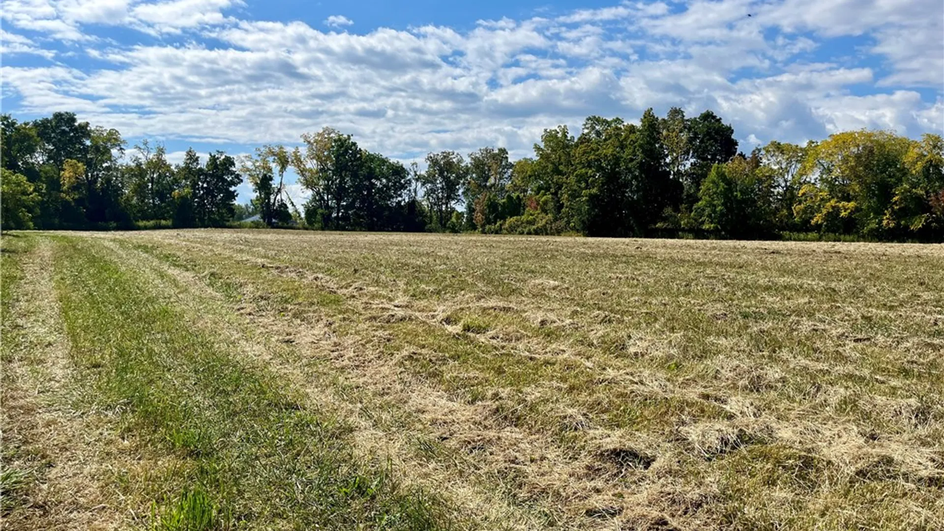 Property at 8850 Route 414, Lodi, NY 14860 9