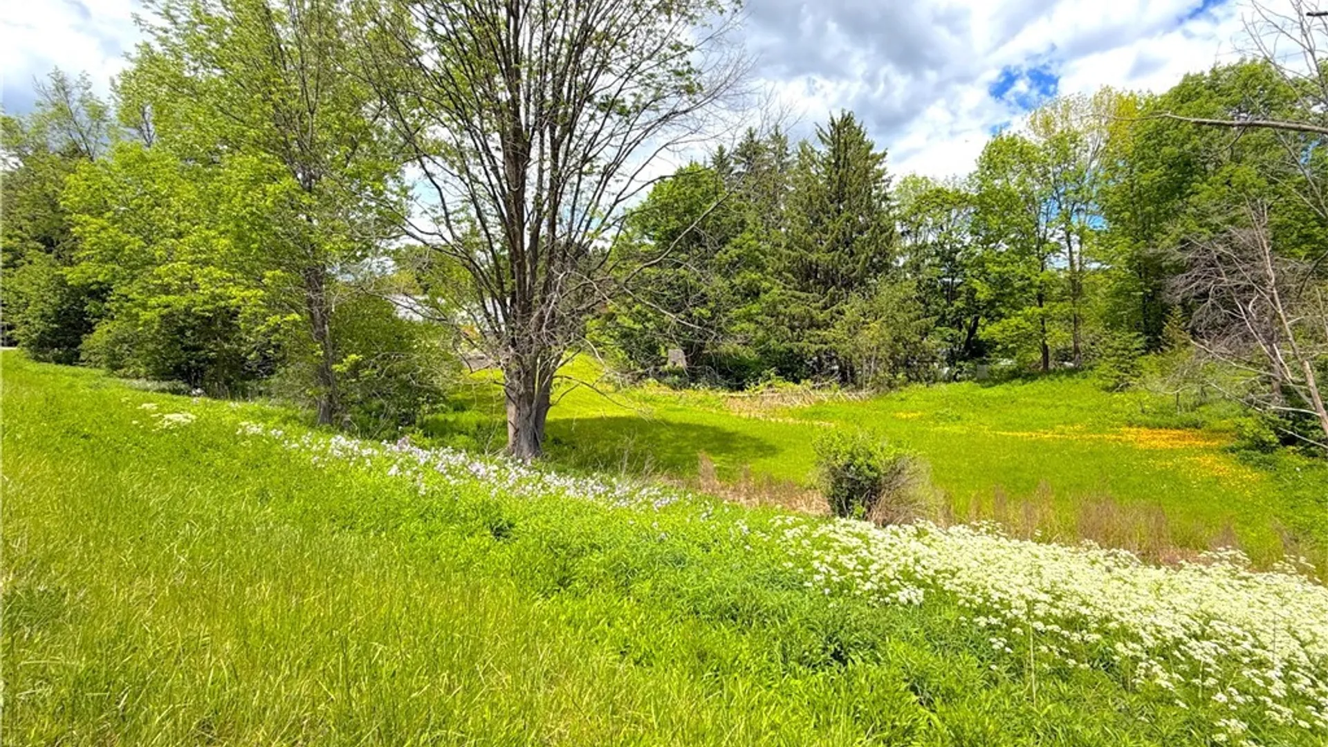 Property at 0 Main Street, Paris, NY 13322 14