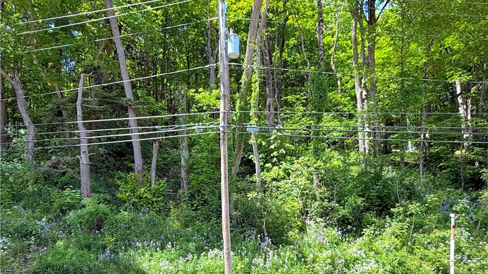 Property at 0 Main Street, Paris, NY 13322 4