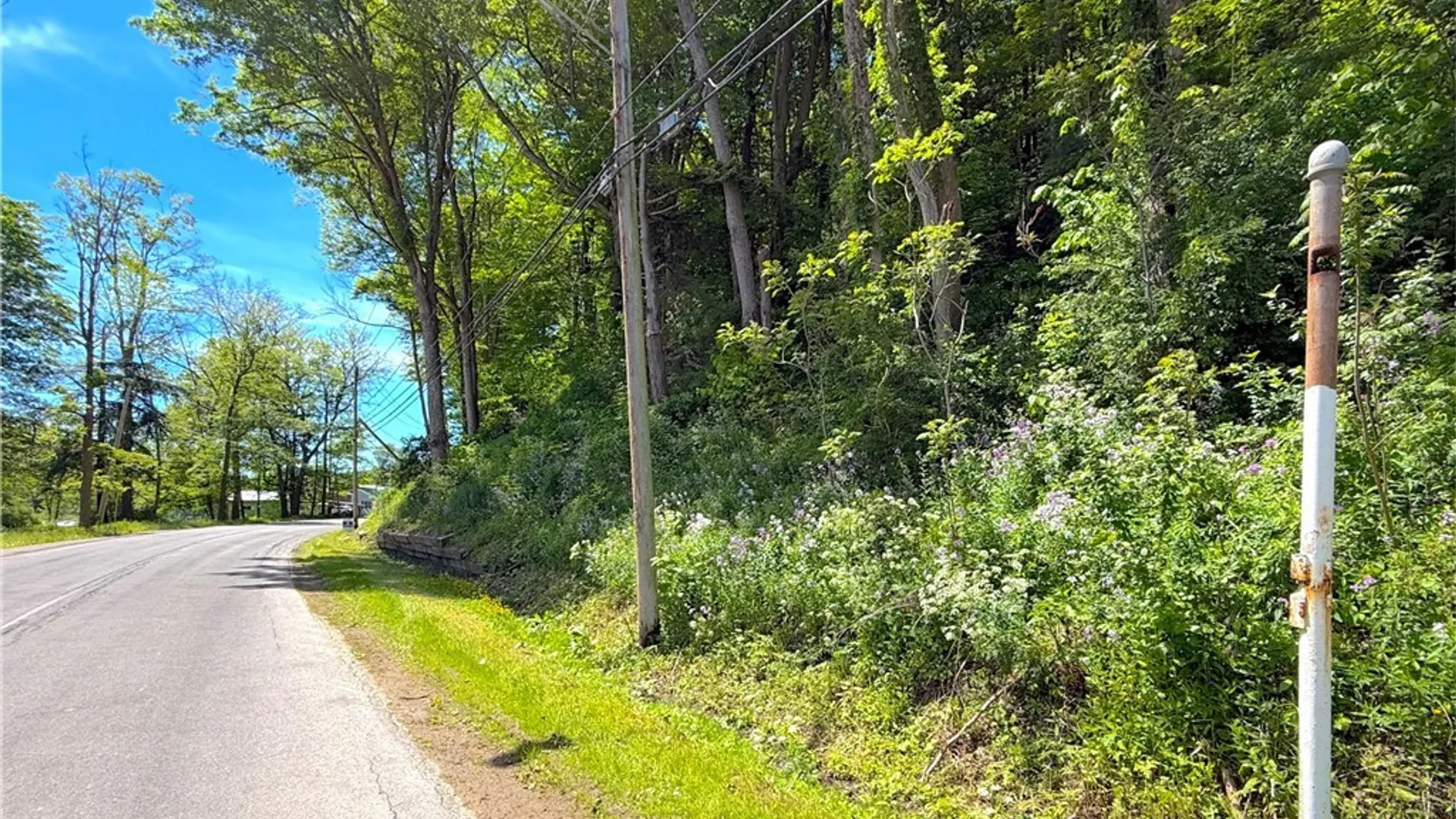 Property at 0 Main Street, Paris, NY 13322 5