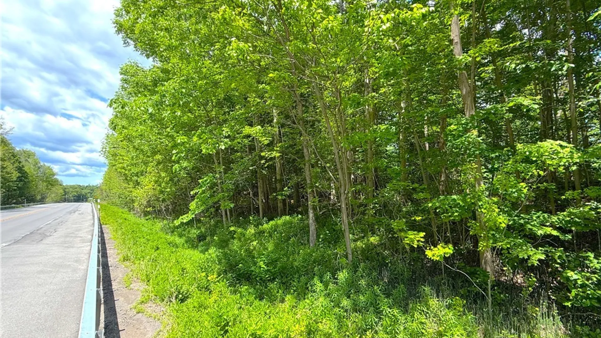 Property at 0 Main Street, Paris, NY 13322 9