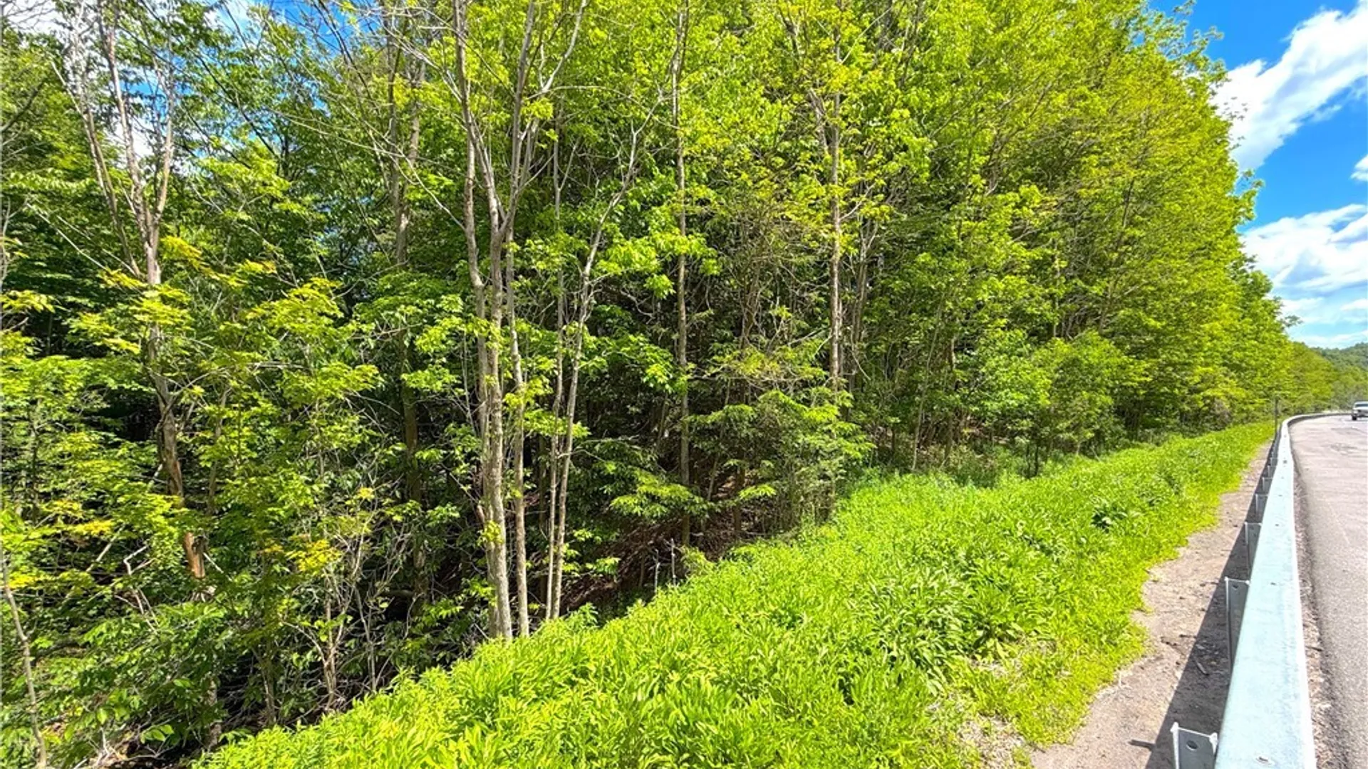 Property at 0 Main Street, Paris, NY 13322 12