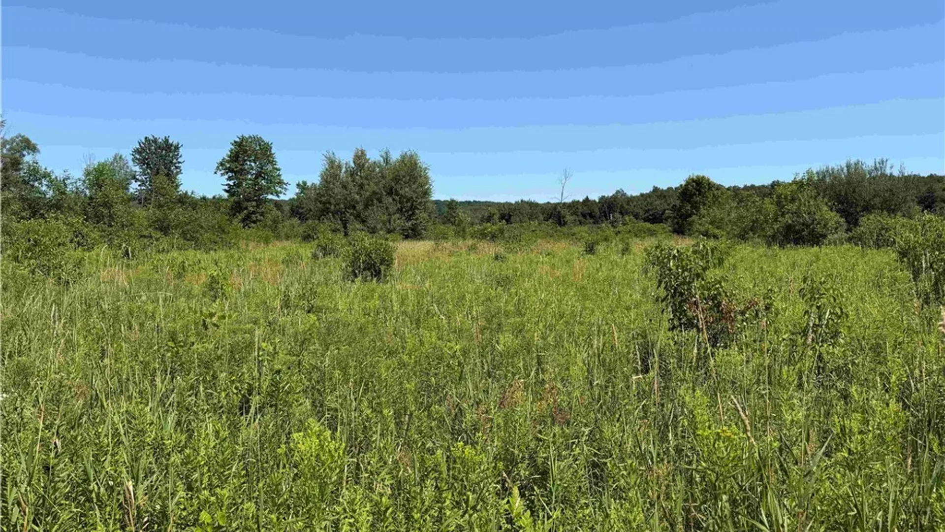 Property at Buttermilk Road, Villenova, NY 14138 20