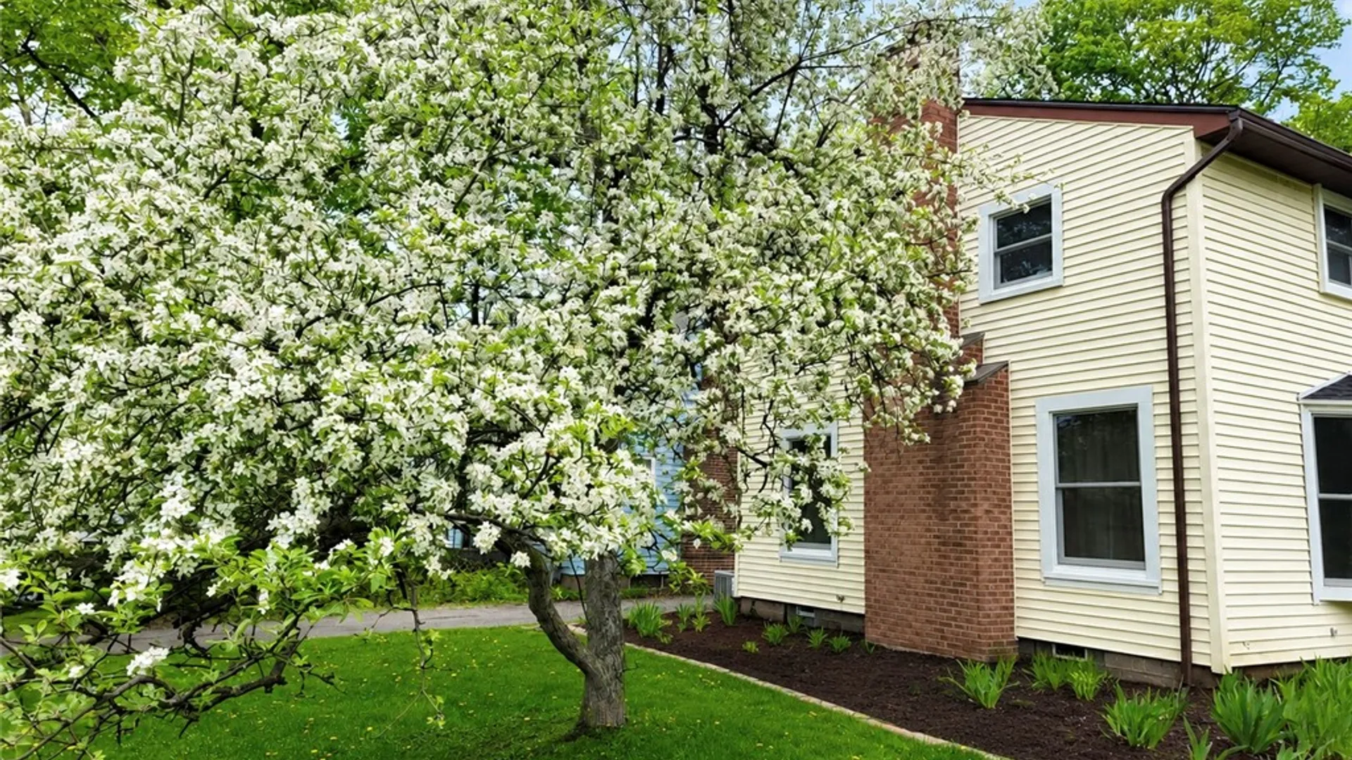 Property at 10 Blossom Circle, Brighton, NY 14610 30