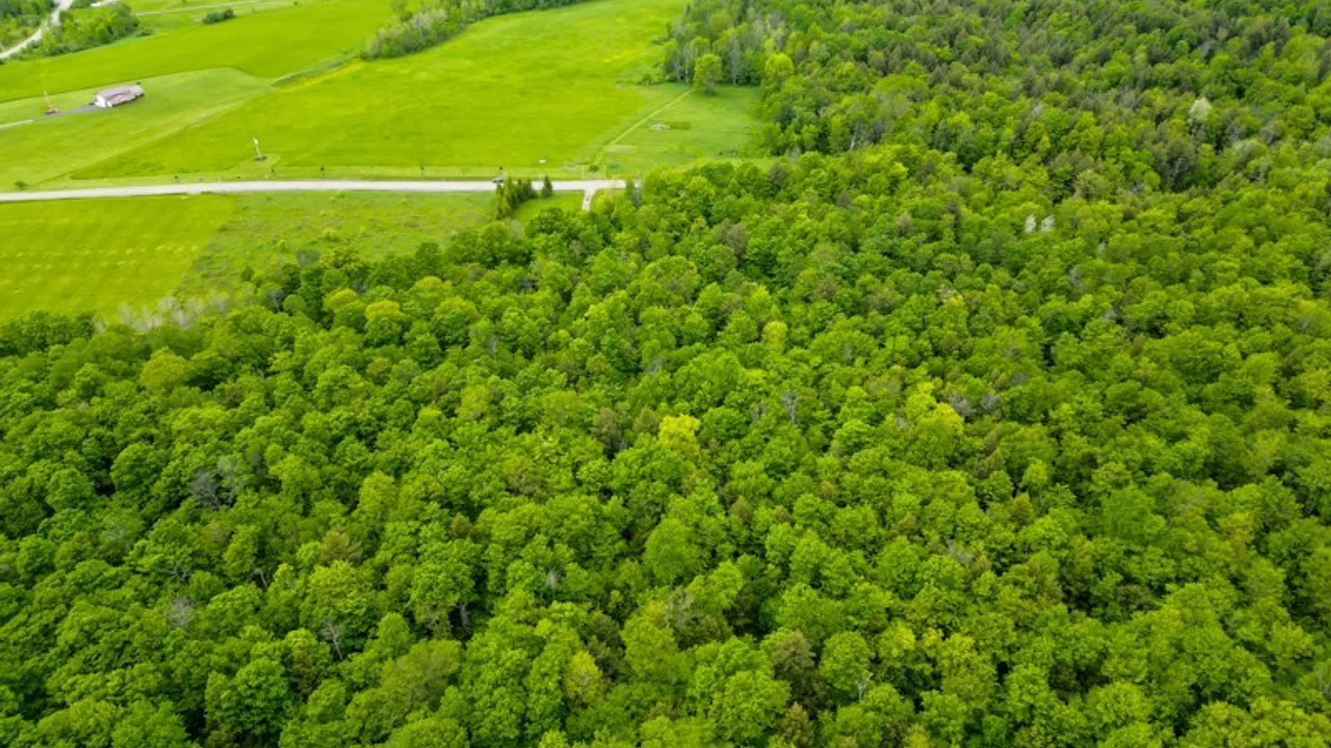 Property at 1180 Hawthorne rd, Schuyler, NY 13340 15