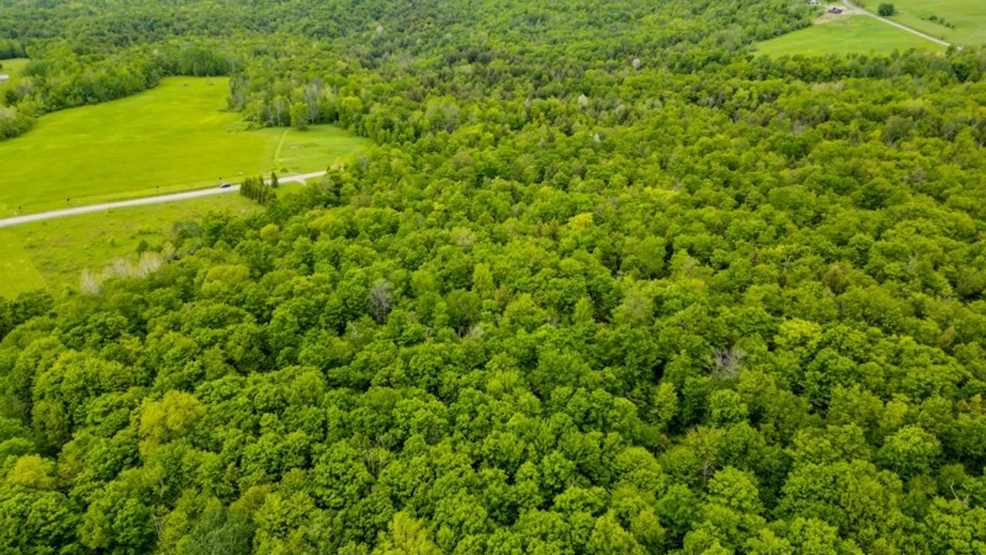 Property at 1180 Hawthorne rd, Schuyler, NY 13340 17