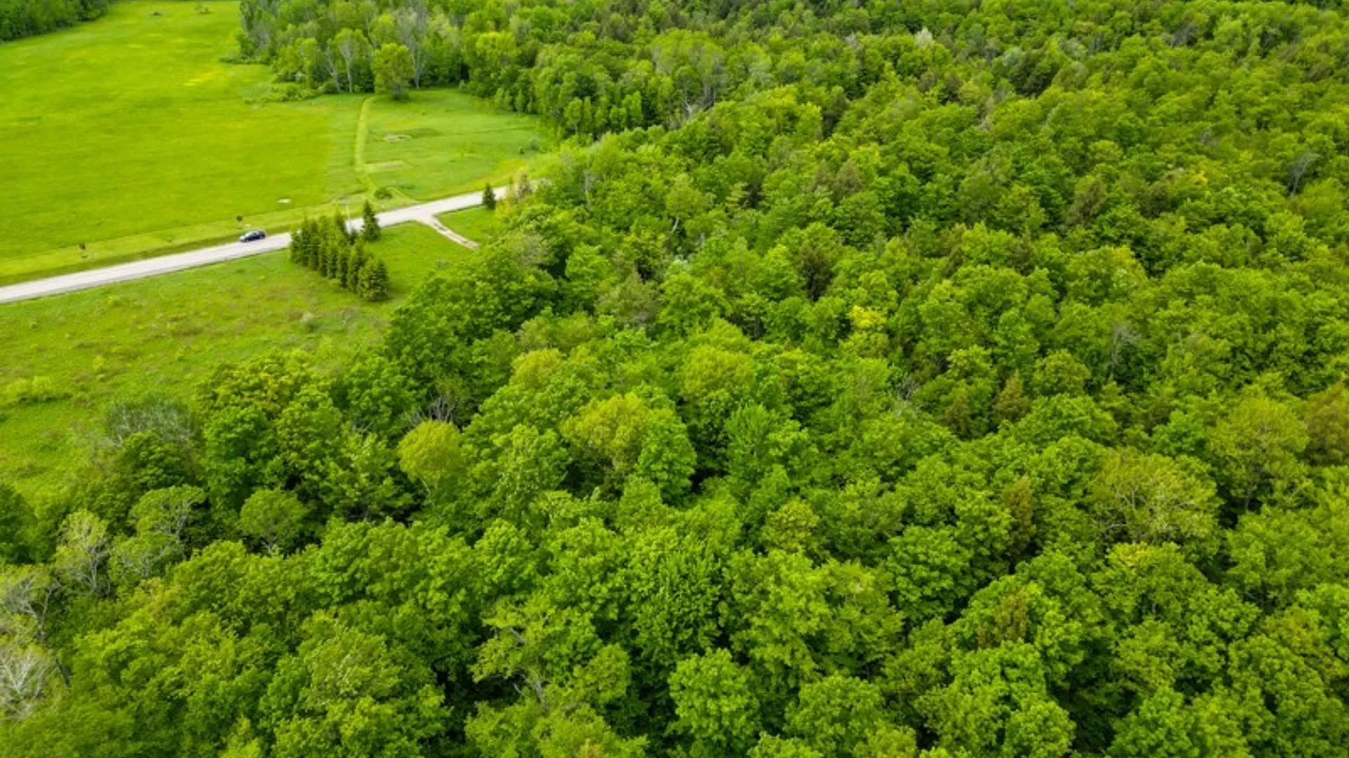 Property at 1180 Hawthorne rd, Schuyler, NY 13340 18