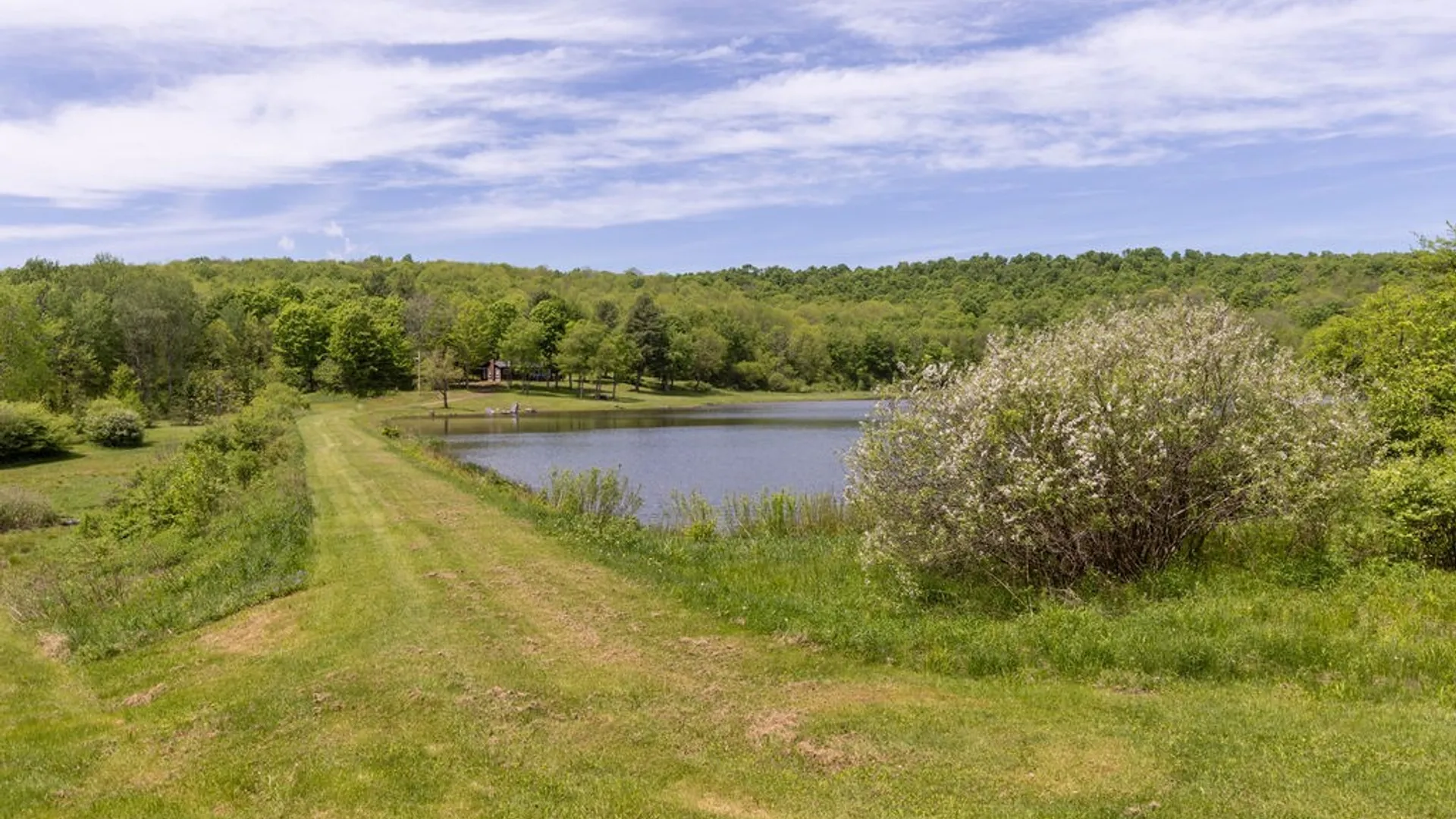Property at 540 Sal Bren Road, Meredith, NY 13753 43