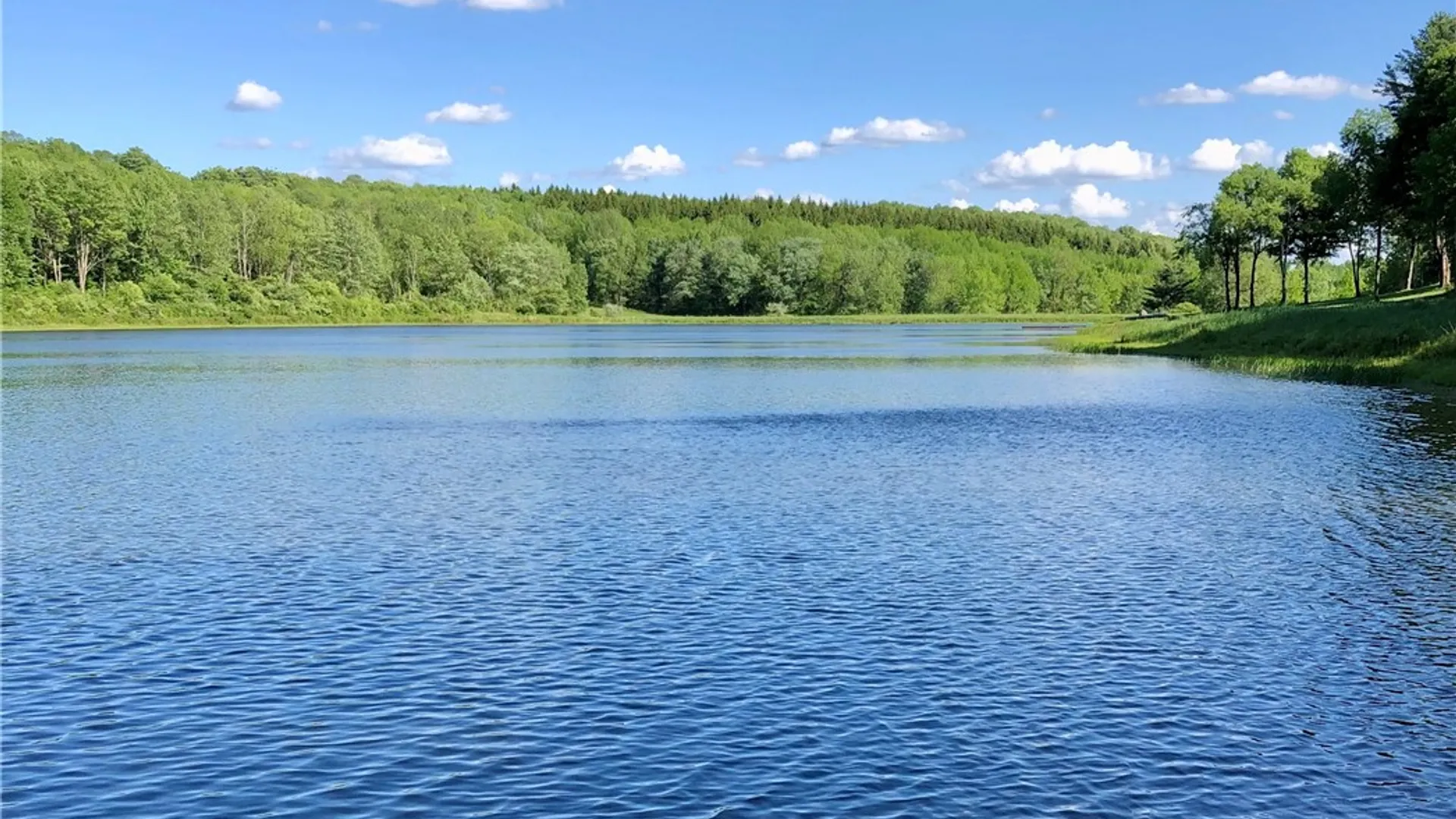 Property at 540 Sal Bren Road, Meredith, NY 13753 3