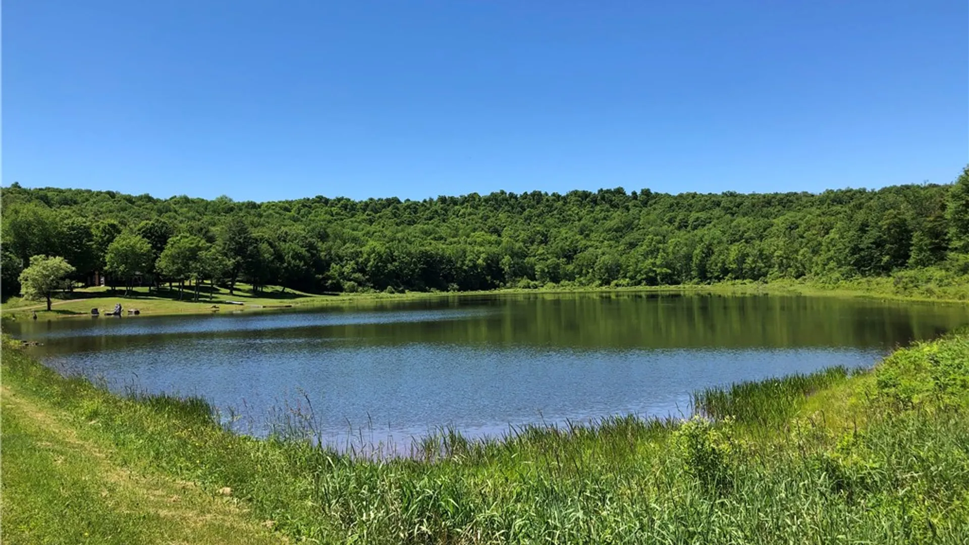 Property at 540 Sal Bren Road, Meredith, NY 13753 44