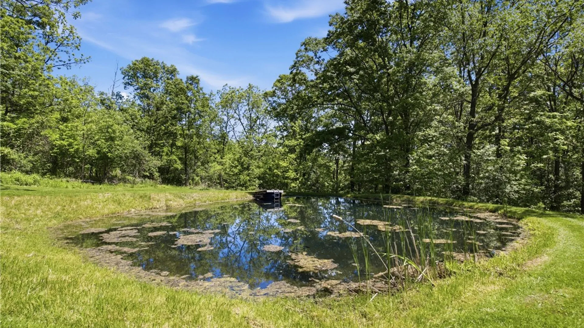 Property at 6651 Longsdorf Road, Naples, NY 14512 11