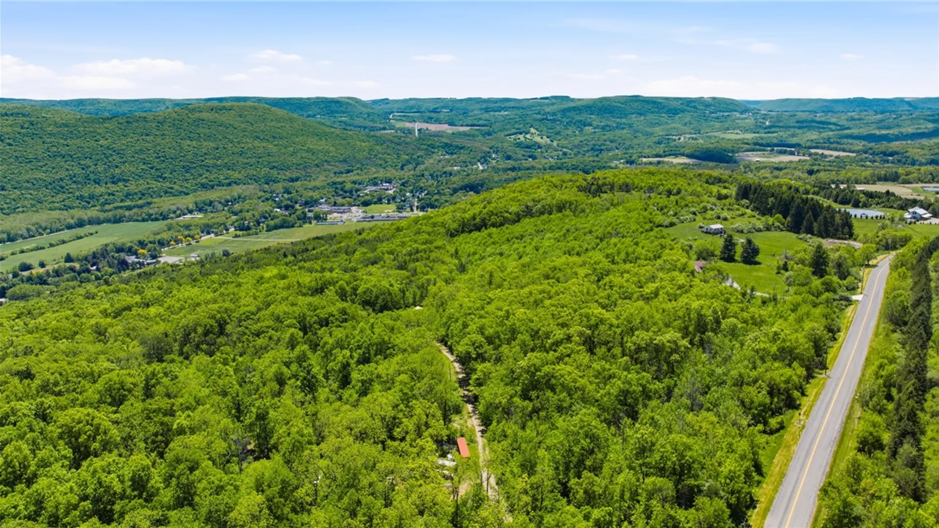 Property at 6651 Longsdorf Road, Naples, NY 14512 43