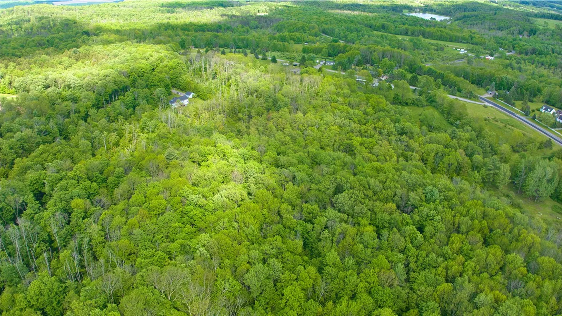 Property at 167 Liddle Lane, Plymouth, NY 13815 7