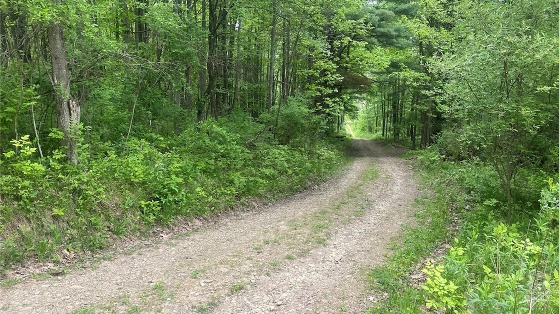 Property at 7133 Murray Hill Road, Belfast, NY 14711 22