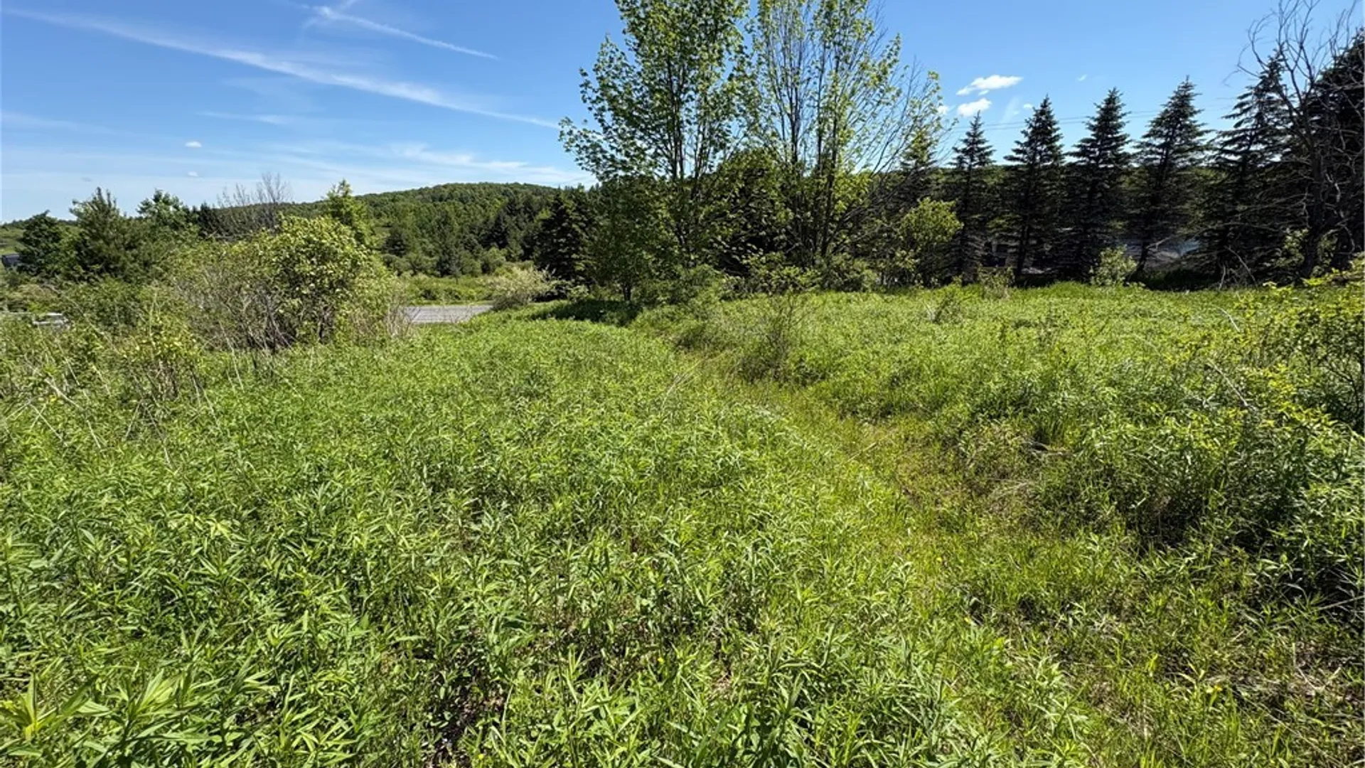 Property at 0 County Road 36 L 15 & 16, Guilford, NY 13780 7