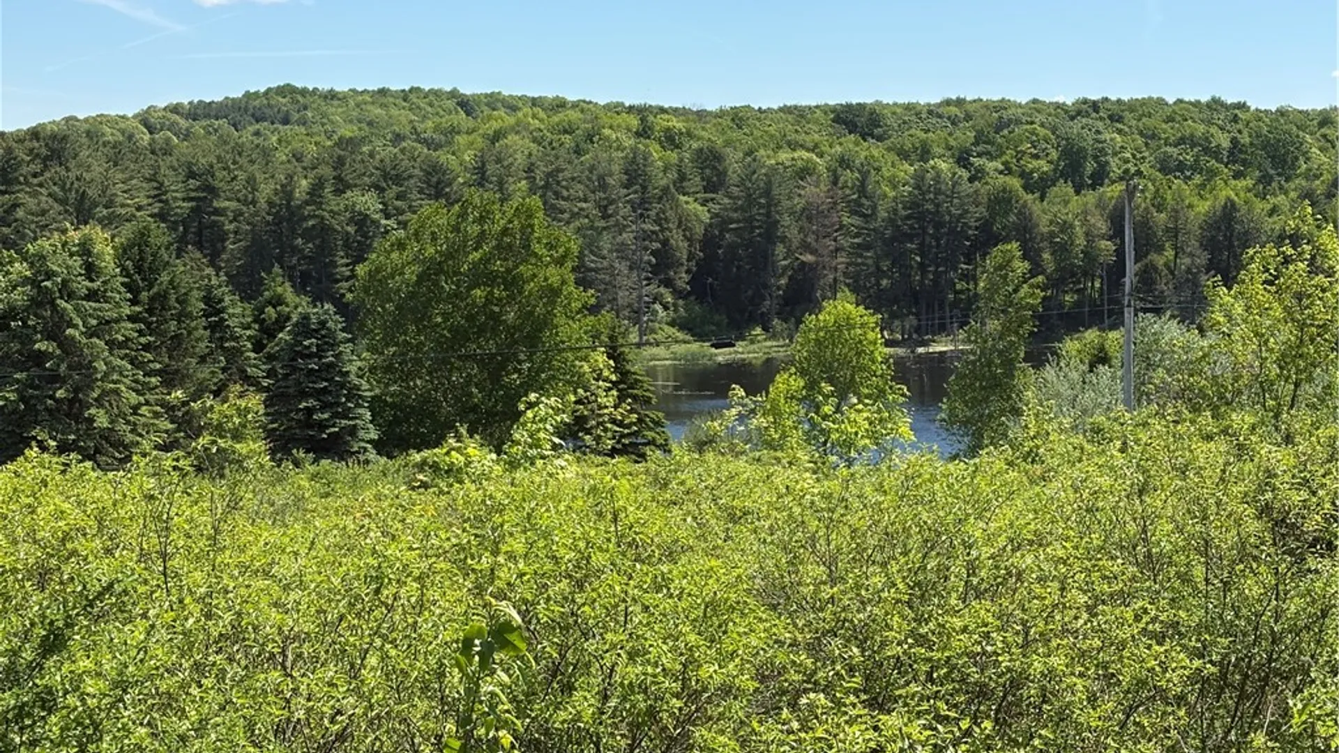 Property at 0 County Road 36 L 15 & 16, Guilford, NY 13780 10