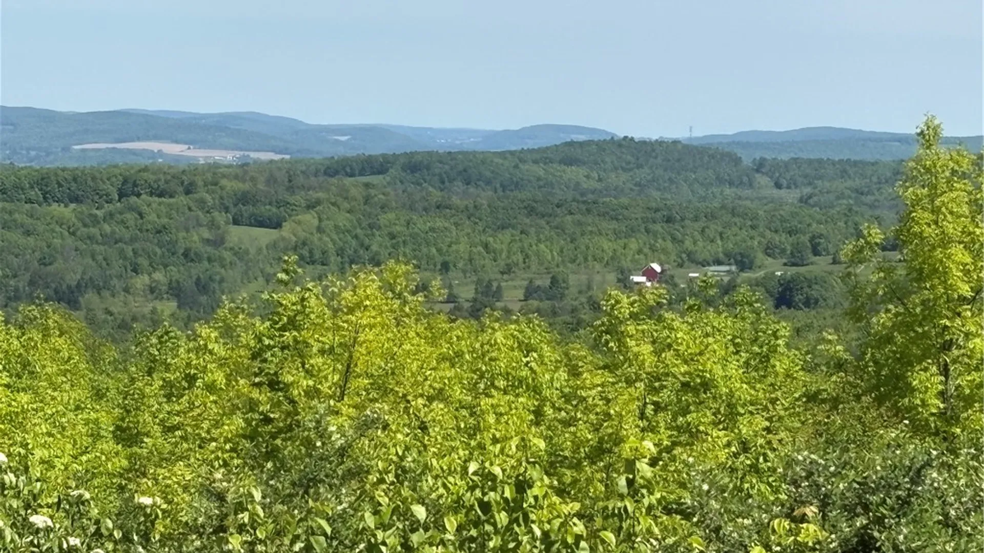 Property at 0 County Road 36 L 15 & 16, Guilford, NY 13780 12
