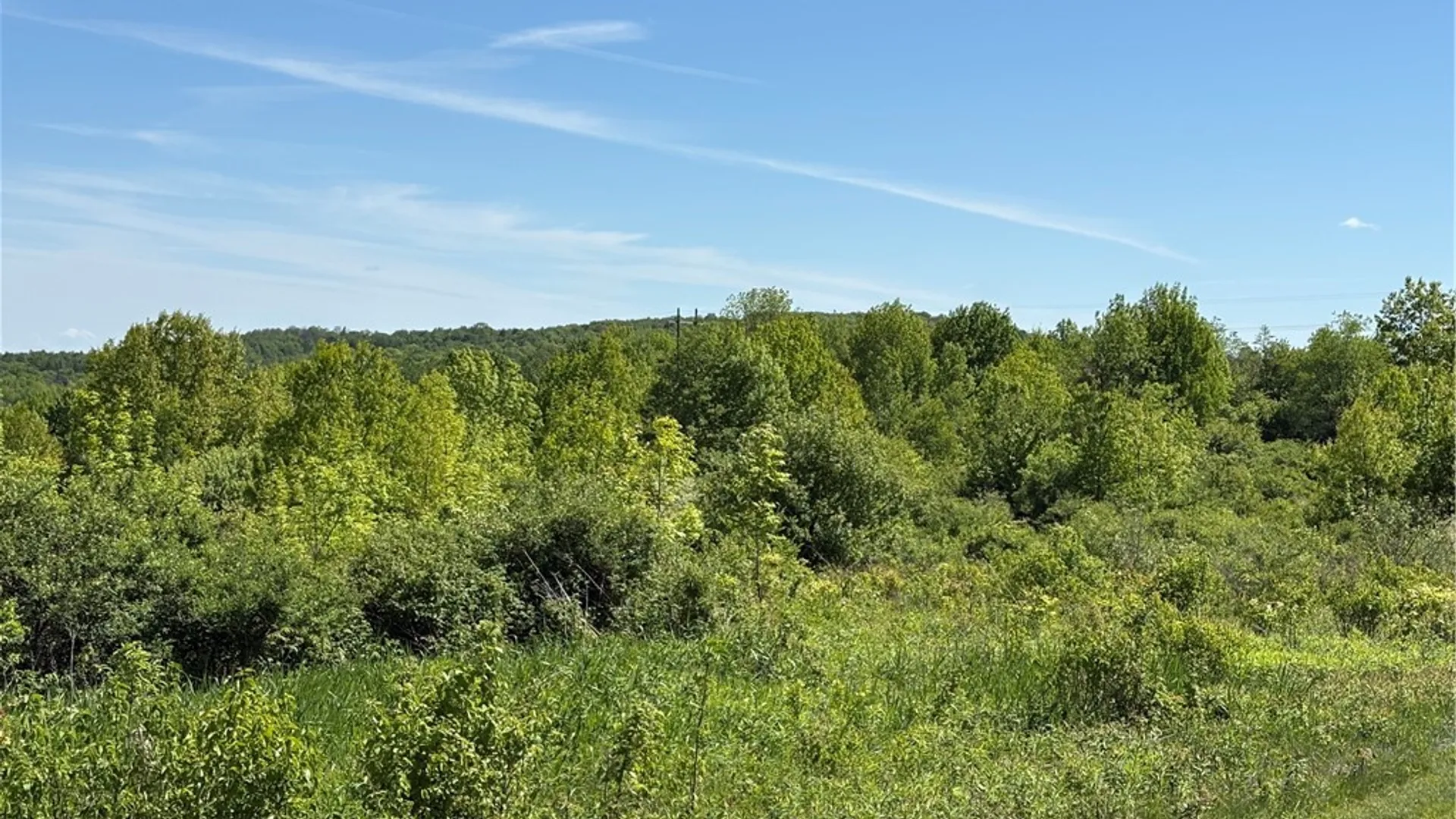 Property at 0 County Road 36 L 15 & 16, Guilford, NY 13780 13