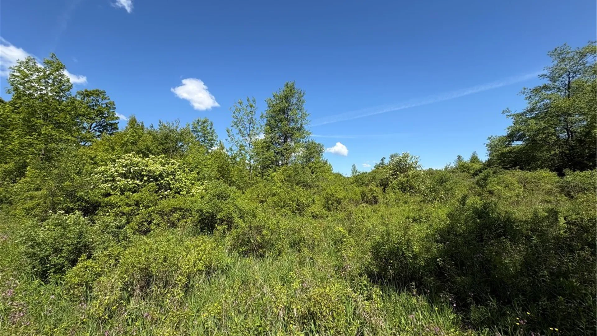 Property at 0 County Road 36 L 15 & 16, Guilford, NY 13780 19