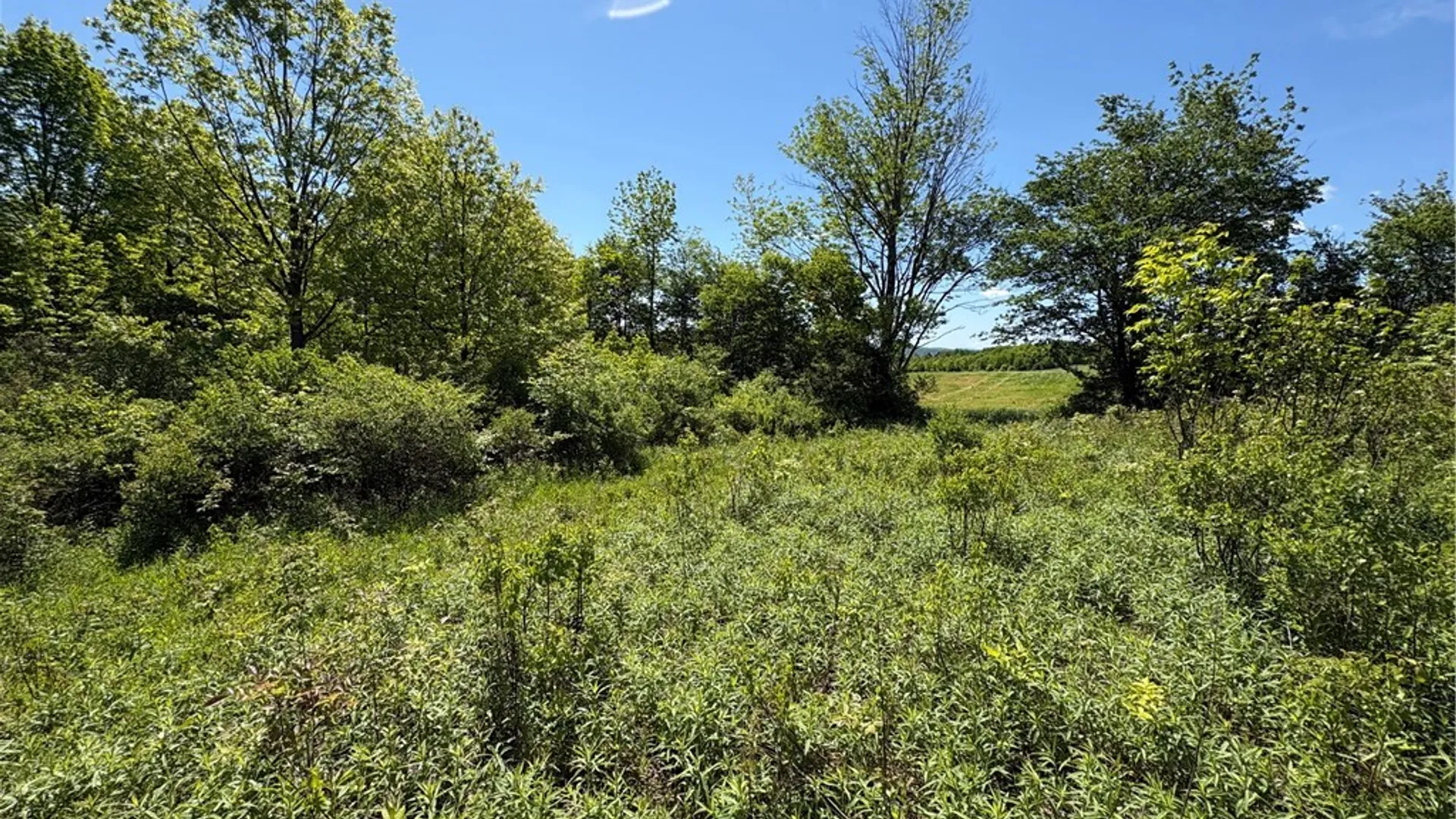 Property at 0 County Road 36 L 15 & 16, Guilford, NY 13780 16