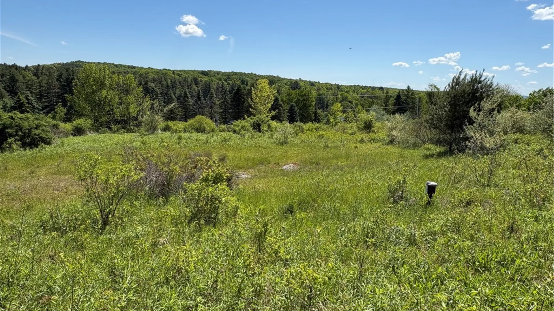 Property at 0 County Road 36 L 15 & 16, Guilford, NY 13780 20