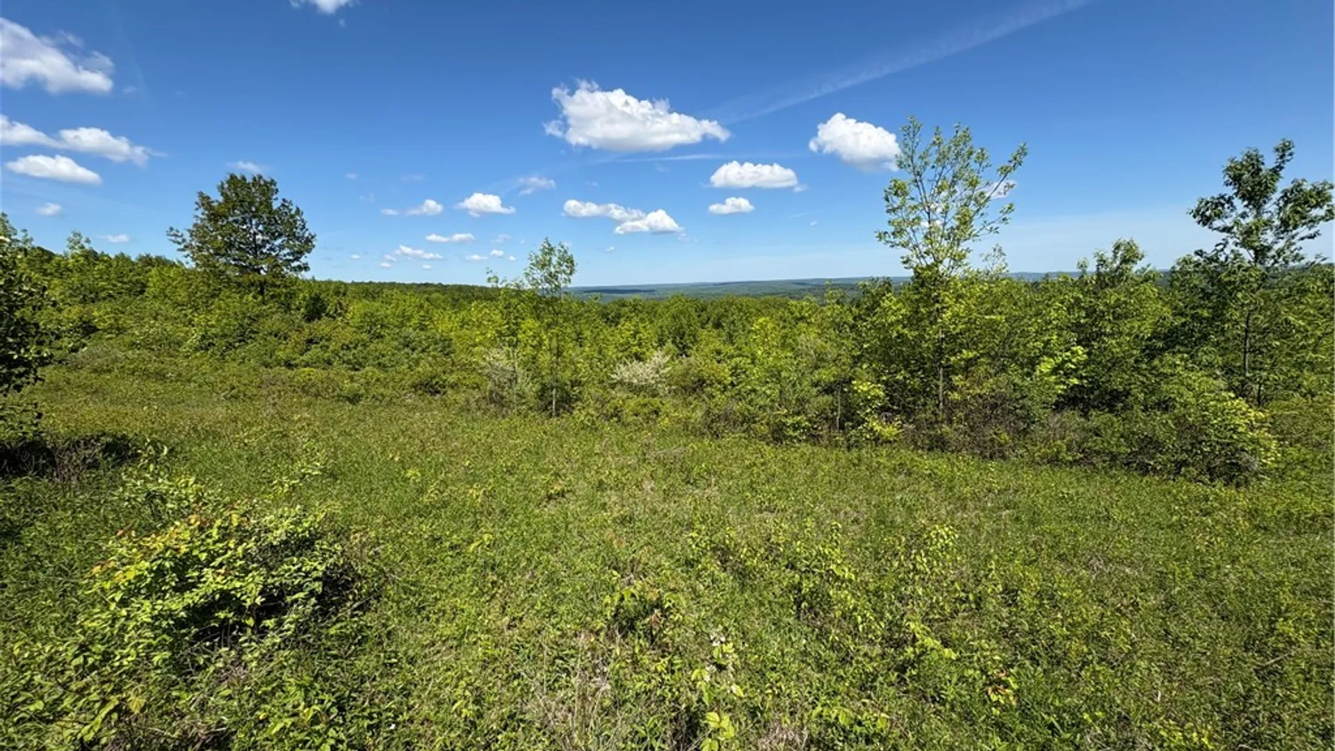 Property at 0 County Road 36 L 15 & 16, Guilford, NY 13780 22