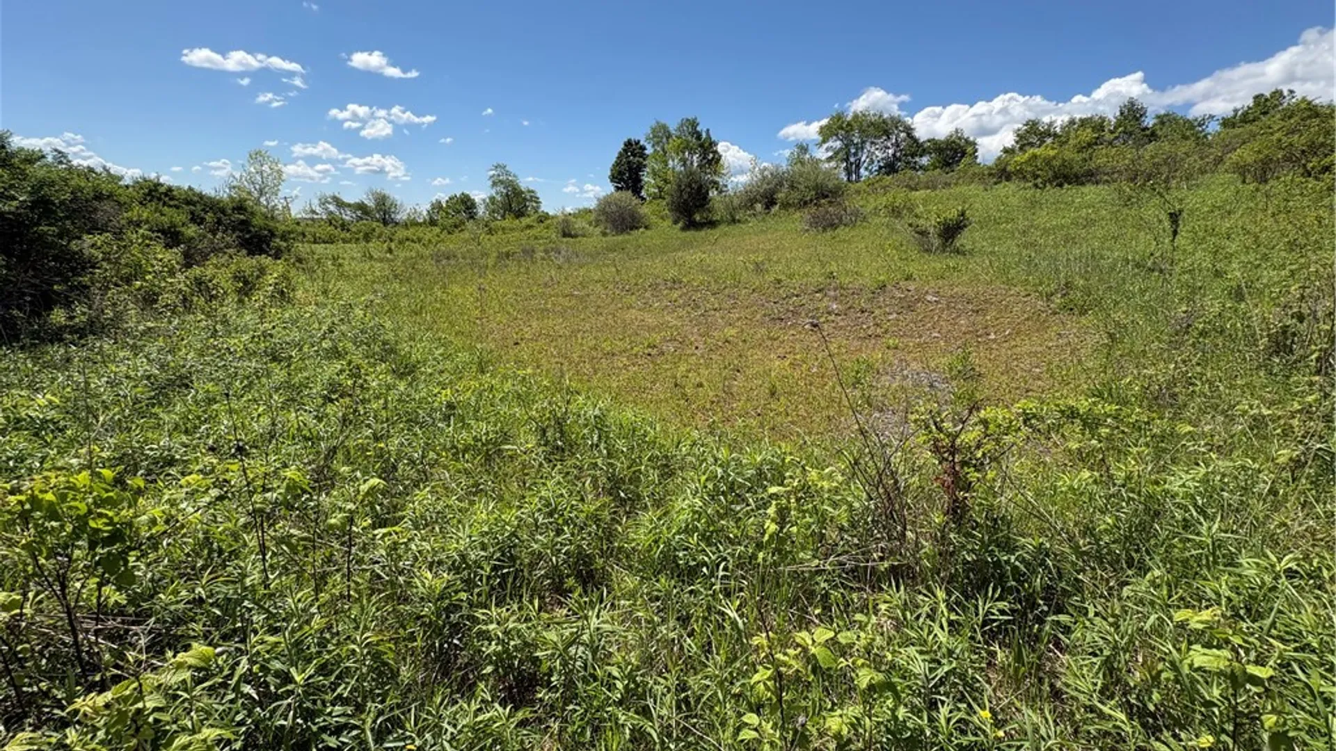 Property at 0 County Road 36 L 15 & 16, Guilford, NY 13780 23