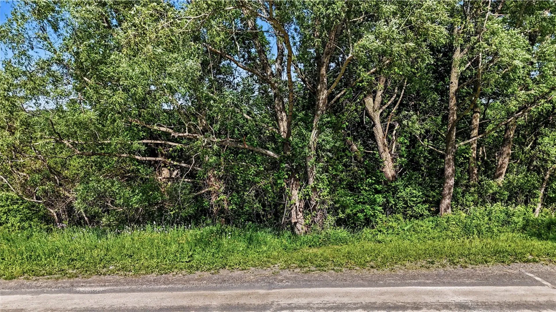 Property at Case Road, Bristol, NY 14424 5