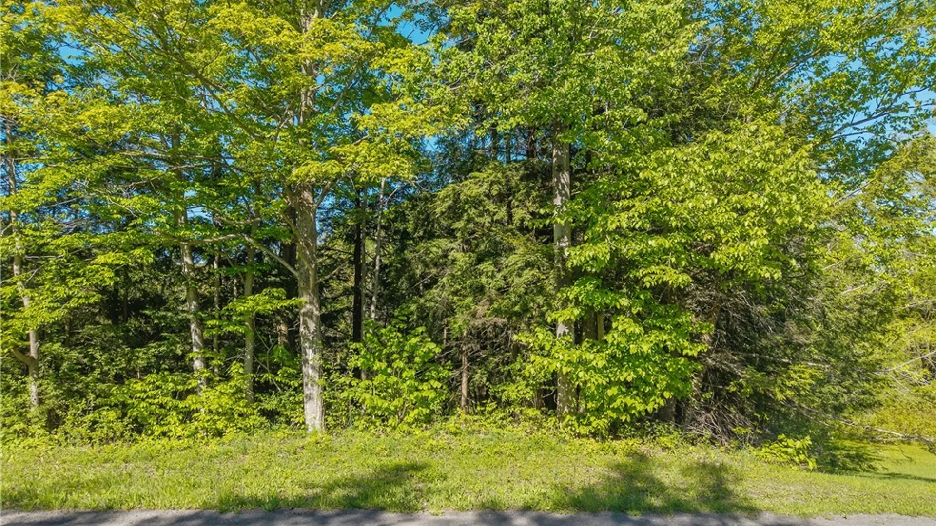 Property at Nelson Road, Fenner, NY 13035 4