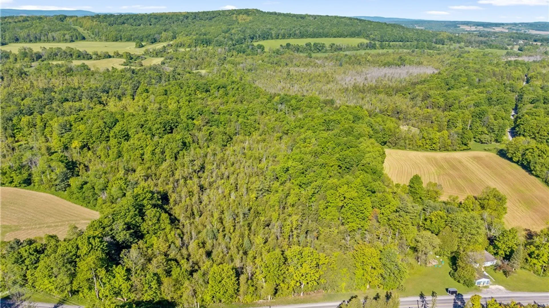 Property at Nelson Road, Fenner, NY 13035 8