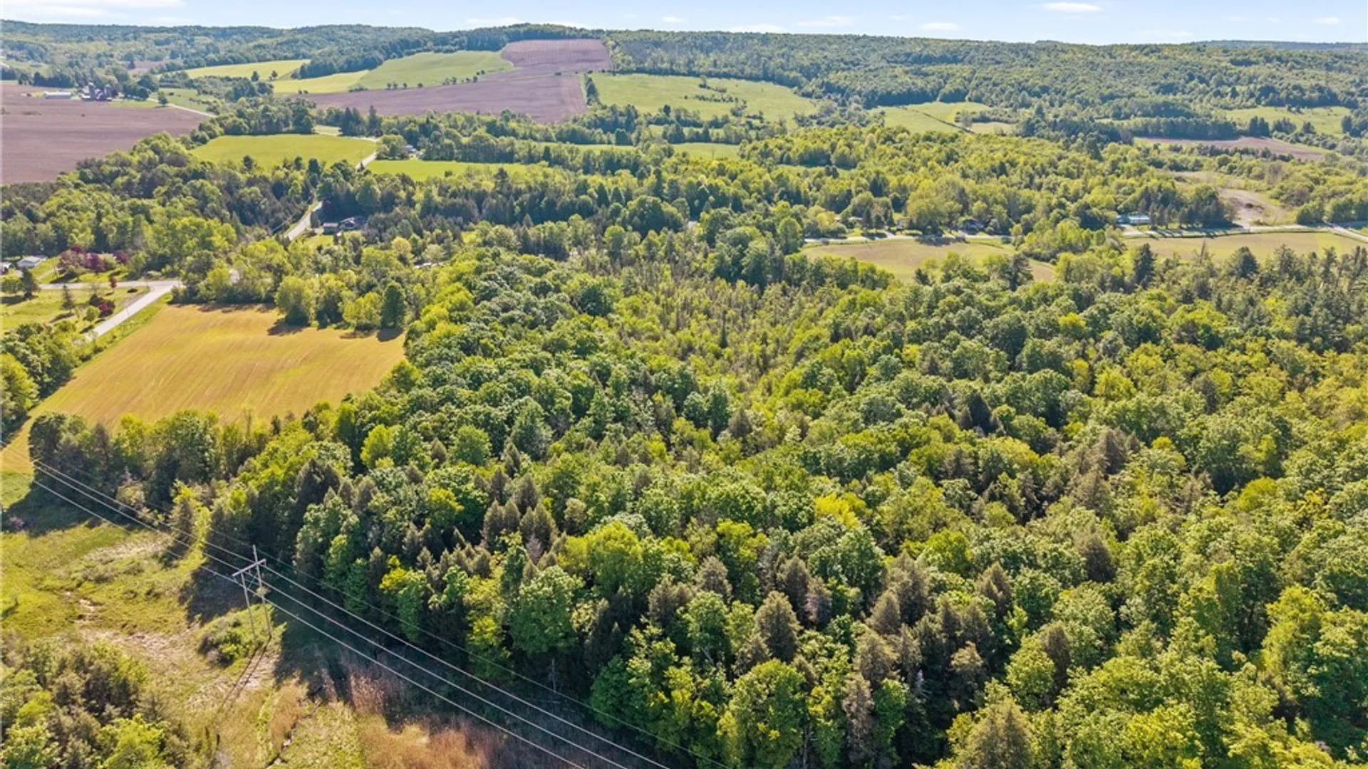 Property at Nelson Road, Fenner, NY 13035 13