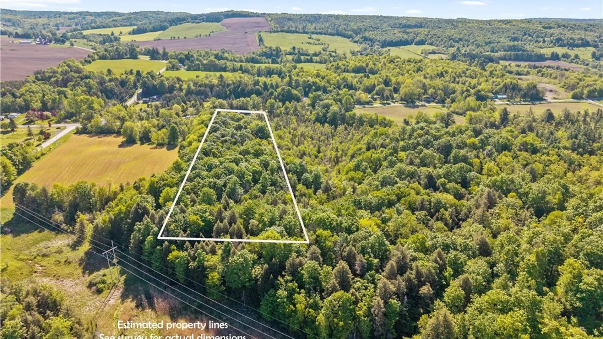 Property at Nelson Road, Fenner, NY 13035 14