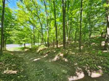 Property at 613 East Lake Rd - Rt 54 Road, Milo, NY 14527