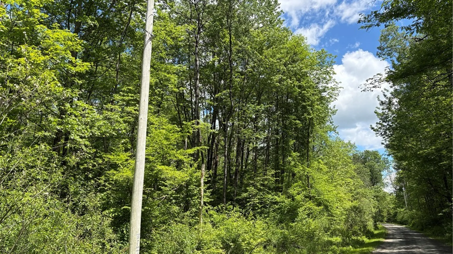 Property at Lot 3 Lake Lorraine Lane, Preston, NY 13815 30